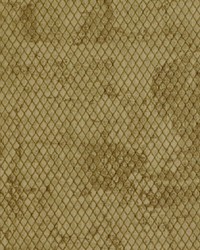 Pitone 881 Vintage Gold by   