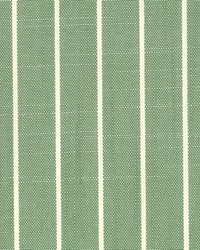 Rhett 206 Greenery by   