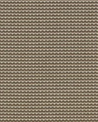 SD Chromatic 65 Jute by  Covington 