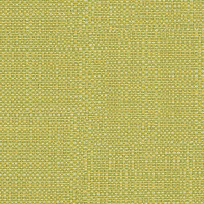 Covington SD Clearwater 244M Acid Green