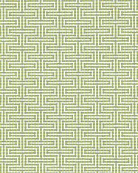 SD Detour 224 Silver Sage by   