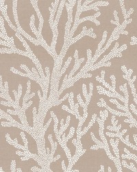 SD Finger Coral 196 Linen by   