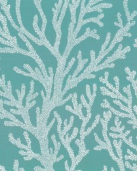 SD Finger Coral 219 Turquoise by   