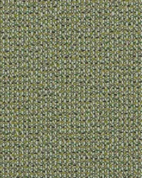 SD Melange 244 Acid Green by  Covington 