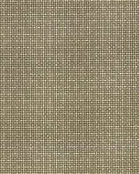 SD Meshwork 145 Travertine by   