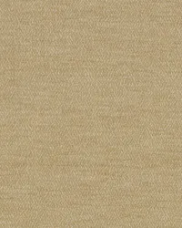 SD Skyzone 118 Sandstone by  Covington 