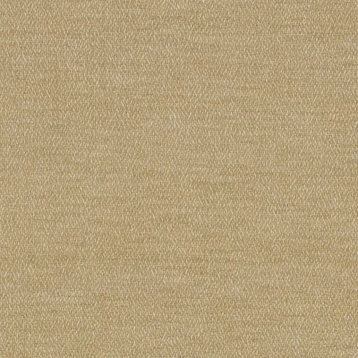 Covington SD Skyzone 118 Sandstone