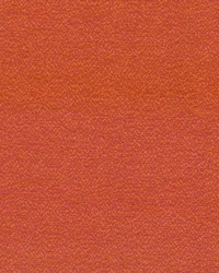 SD Skyzone 318 Persimmon by  Covington 