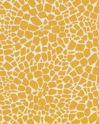 Solution Dyed Indoor Outdoor Fabric