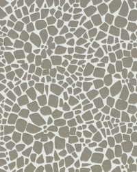 SD Turtle Back 95 Dolphin by   