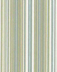 SD Variegated 224 Silver Sage by   