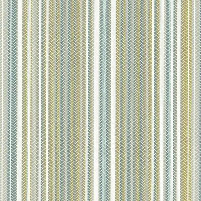 Covington SD Variegated 224 Silver Sage