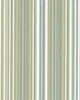 Covington SD Variegated 224 Silver Sage