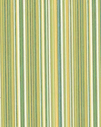 SD Variegated 284 Citrus by   