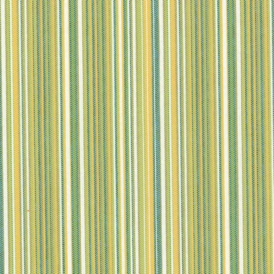 Covington SD Variegated 284 Citrus