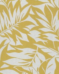 SD Ying Yang 885 Sunshine by   