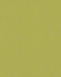 SD Zen 244 Acid Green by   