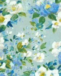 Senna 523 Caribbean by   