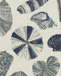 Shell We Dance 514 Ocean by   