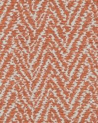 Shevron 318 Persimmon by   