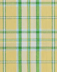 Somerset 8 Daffodil by   