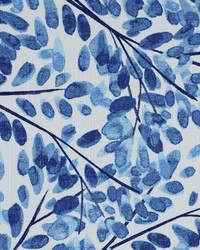 Suneil 50 Bluebell by   