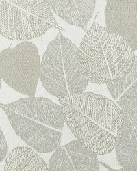 Sycamore 145 Travertine by   