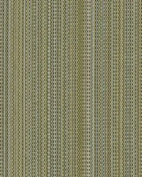 SD Tahiti 201 Green Tea by   