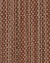 SD Tahiti 344 Spice by   
