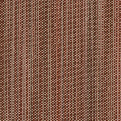 Covington SD Tahiti 344 Spice