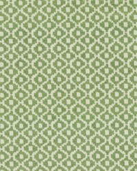 Tinker 206 Greenery by   