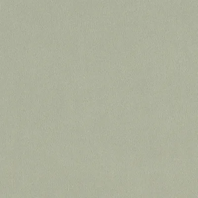 Covington Vitani 144 Overcast