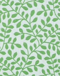 Vines 251 Island Green by   