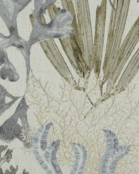 Wakame 69 Driftwood by  Covington 