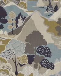 Washburn 224 Silver Sage by   