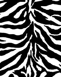 Zebra Fleece by  David Textiles 