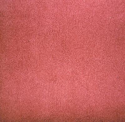 Ali Melon in Alicante Pink Upholstery Polyester  Blend High Wear Commercial Upholstery Solid Pink  Terry Cloth   Fabric