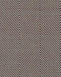 Dorado Currant 15628 338 by   