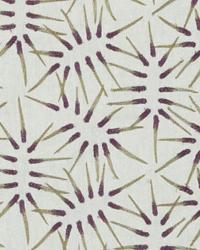 Scout Cactus 32695 343 by   