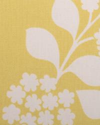 72061 66 by  Duralee 