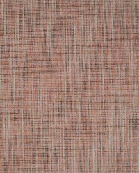 Aztec Celtic Coral by   