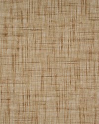 Aztec Celtic Honey by   