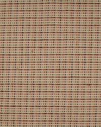 Aztec Davis Spice by   