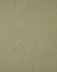 Aztec Lacoma Bayleaf by   