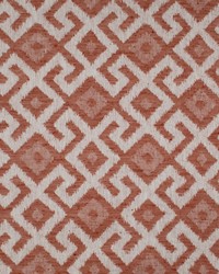 Aztec Neve Coral by   