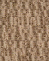 Aztec Osiris Apricot by   