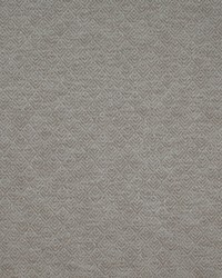 Aztec Paladin Grey by   