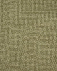 Aztec Paladin Lime by   