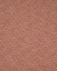 Aztec Paladin Spice by   