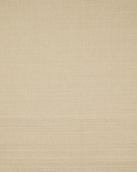 Aztec Paragon Bone by   